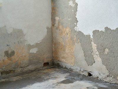 nasser keller mit salzausbuehungen